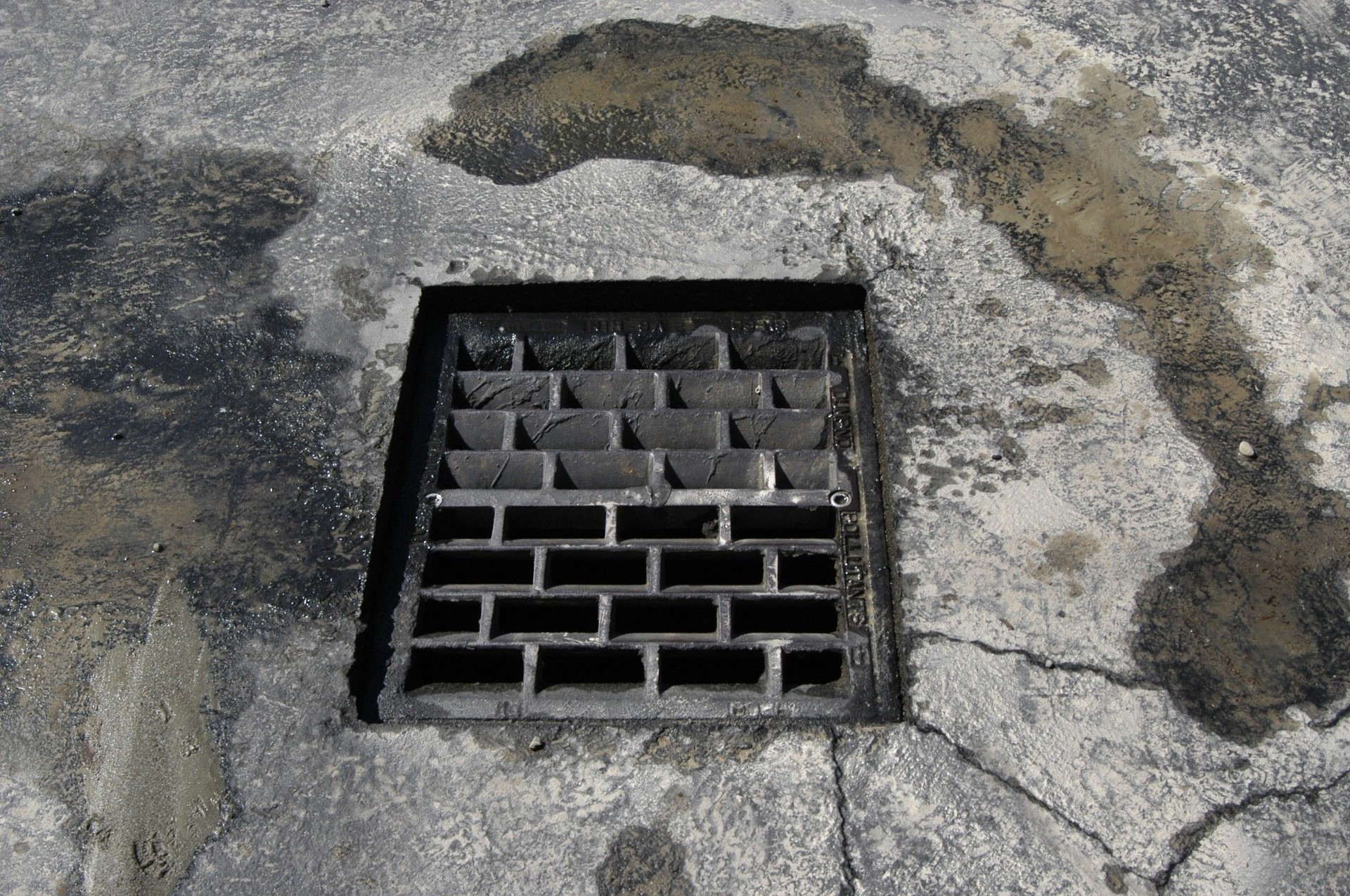 drain grate